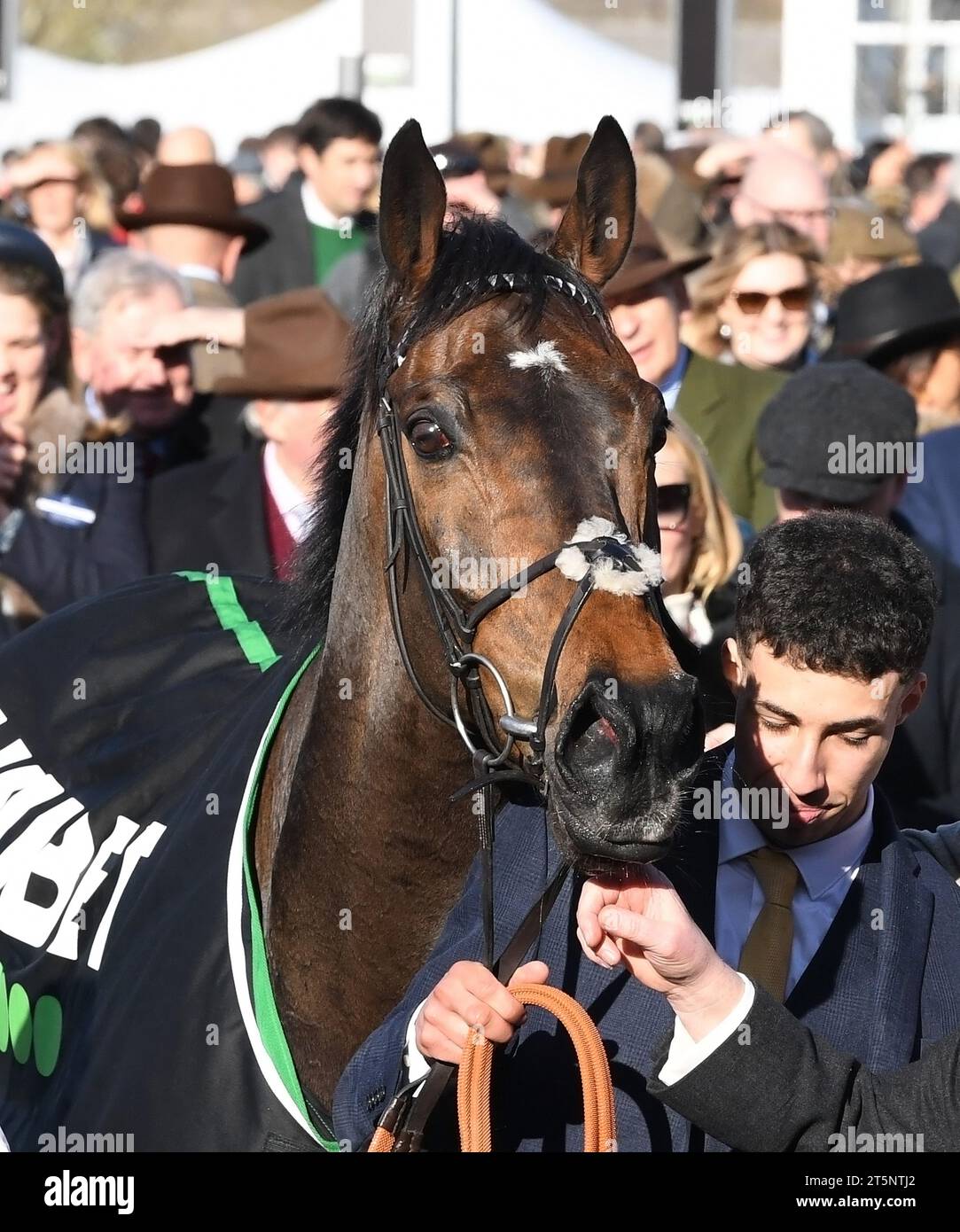 Cheltenham Fest. Champ. Hürdentag 14.03.23 Constitution Hill Stockfoto