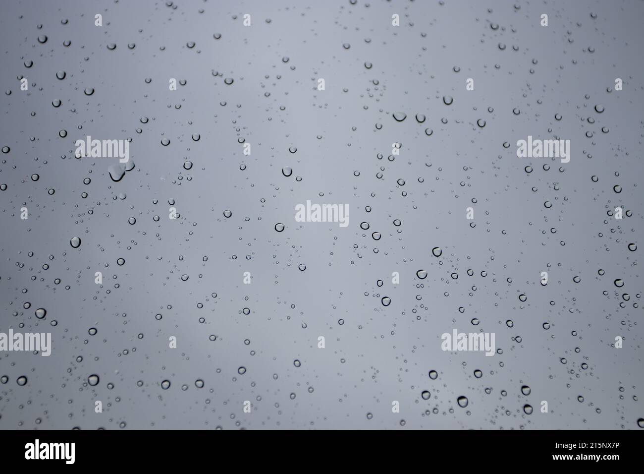 Regen tropft auf die Fensterscheibe. Herbststimmung in Grautönen. Verschwommene Regentropfen. Stockfoto