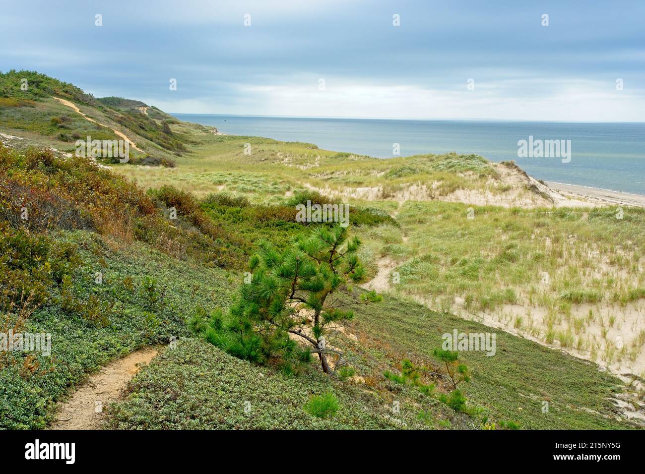 Wandern Sie über Sanddünen auf Great Island mit Cape Cod Bay am Horizont Stockfoto