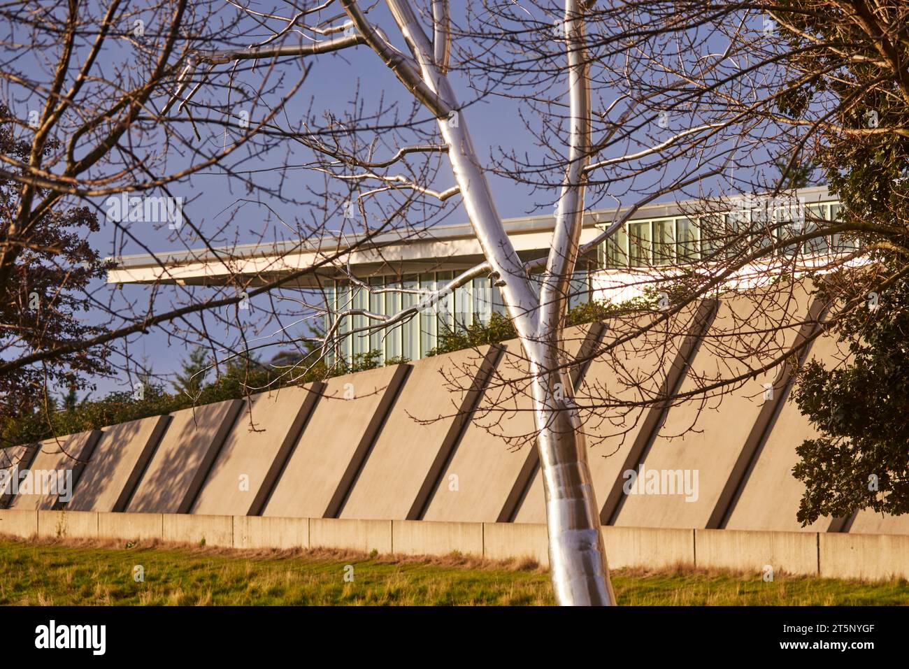 Wahrzeichen PACCAR Pavilion Seattle, Washington, USA, Split, Roxy Paines Edelstahl-Baumskulptur Olympic Sculpture Park Stockfoto