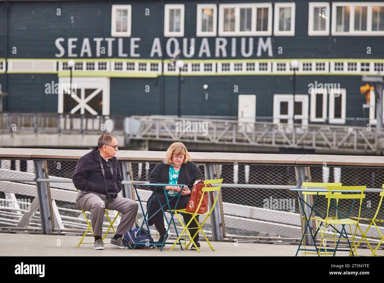 Das Seattle Great Wheel am Pier Seattle, Washington, USA Stockfoto
