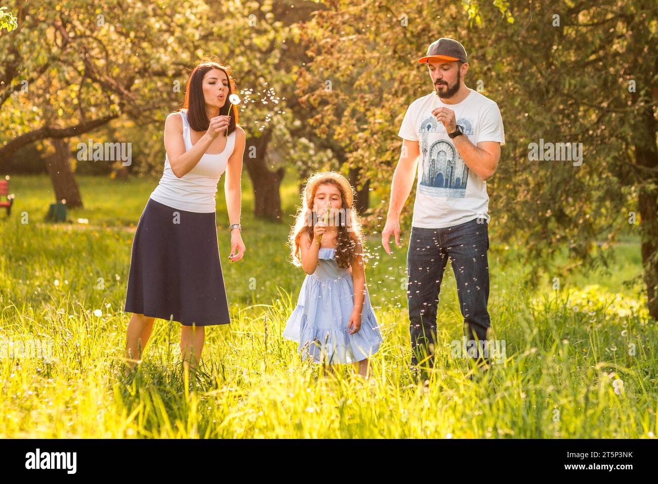 Tochter bläst Löwenzahn mit ihren Eltern Stockfoto