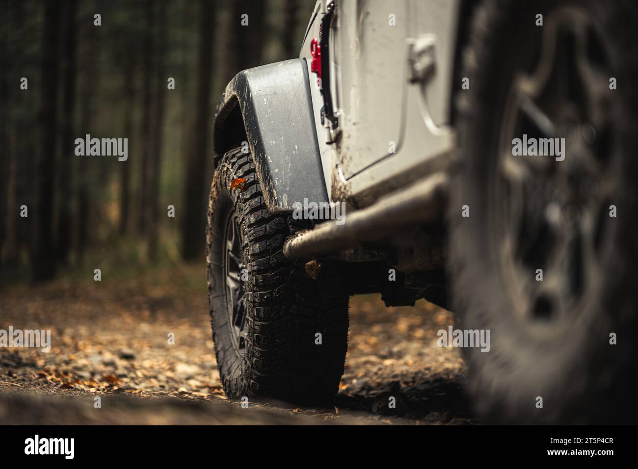 Allradantrieb AWD-Fahrzeug auf der Muddy Forest Road Nahaufnahme Stockfoto