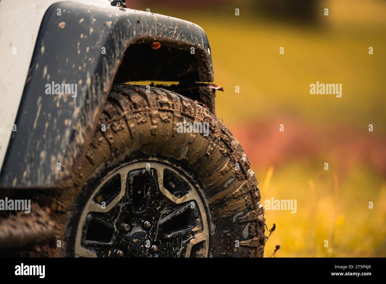 Muddy Wilderness Trail Off-Road-Thema. Fahrzeug Mit Allradantrieb Fahren. Stockfoto