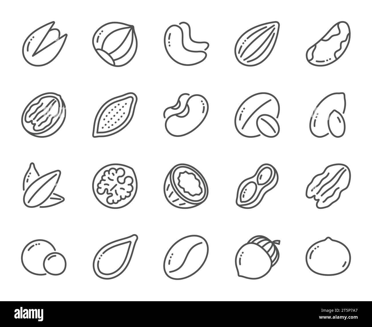 Symbole für Nüsse und Seeds. Haselnuss, Mandelnuss und Erdnuss. Vektor Stock Vektor