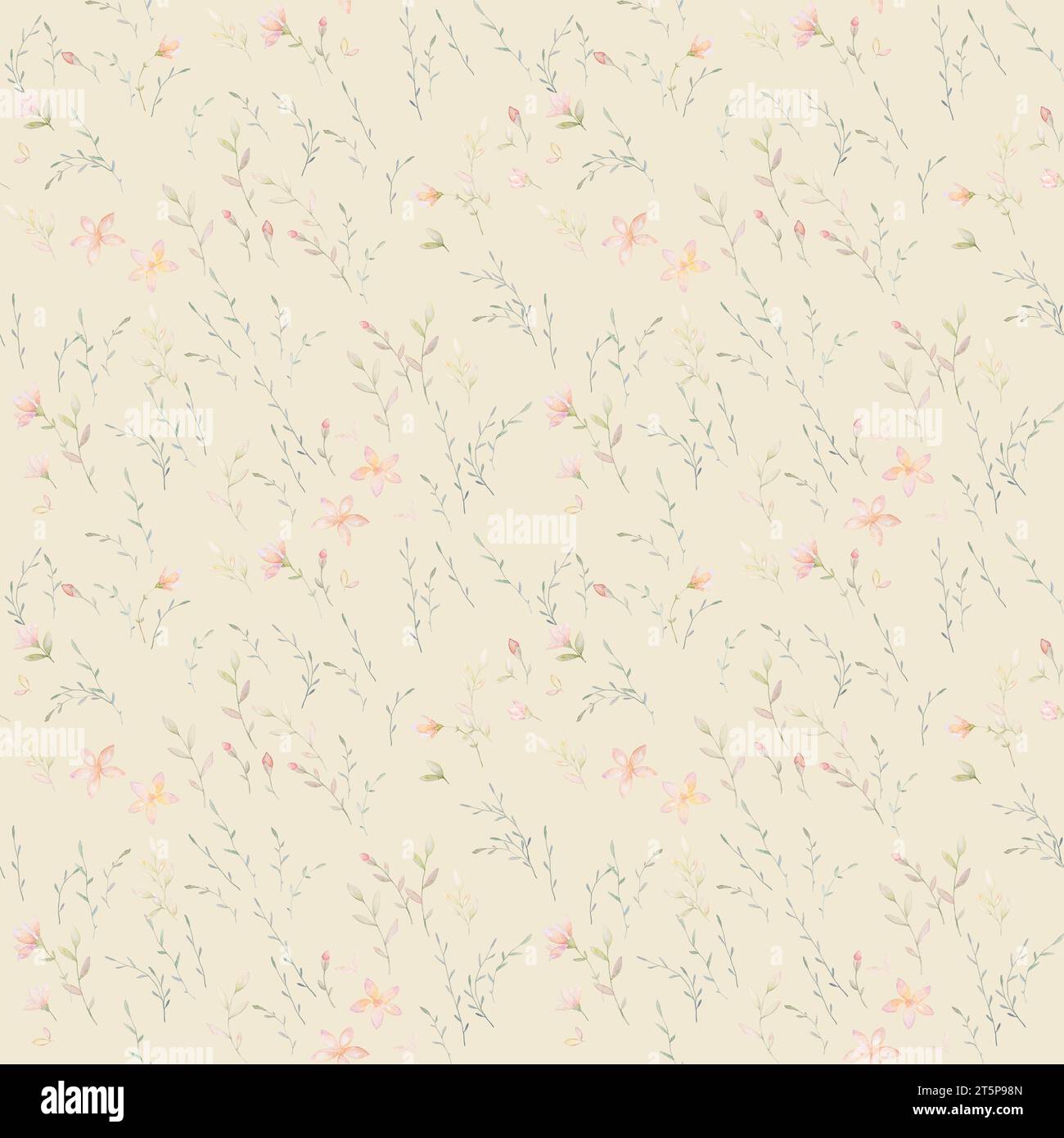Wildes Blumenmuster Nahtloses Muster, Rustikaler Blumenhintergrund, Waldmuster Illustrationen, Boho Aquarell, Hellgrüner Hintergrund Stockfoto