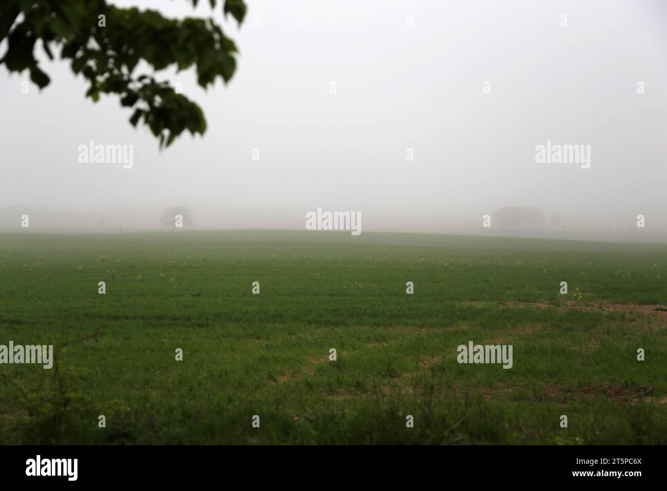 Herbstlandschaft bei Sonnenaufgang mit Nebel Stockfoto