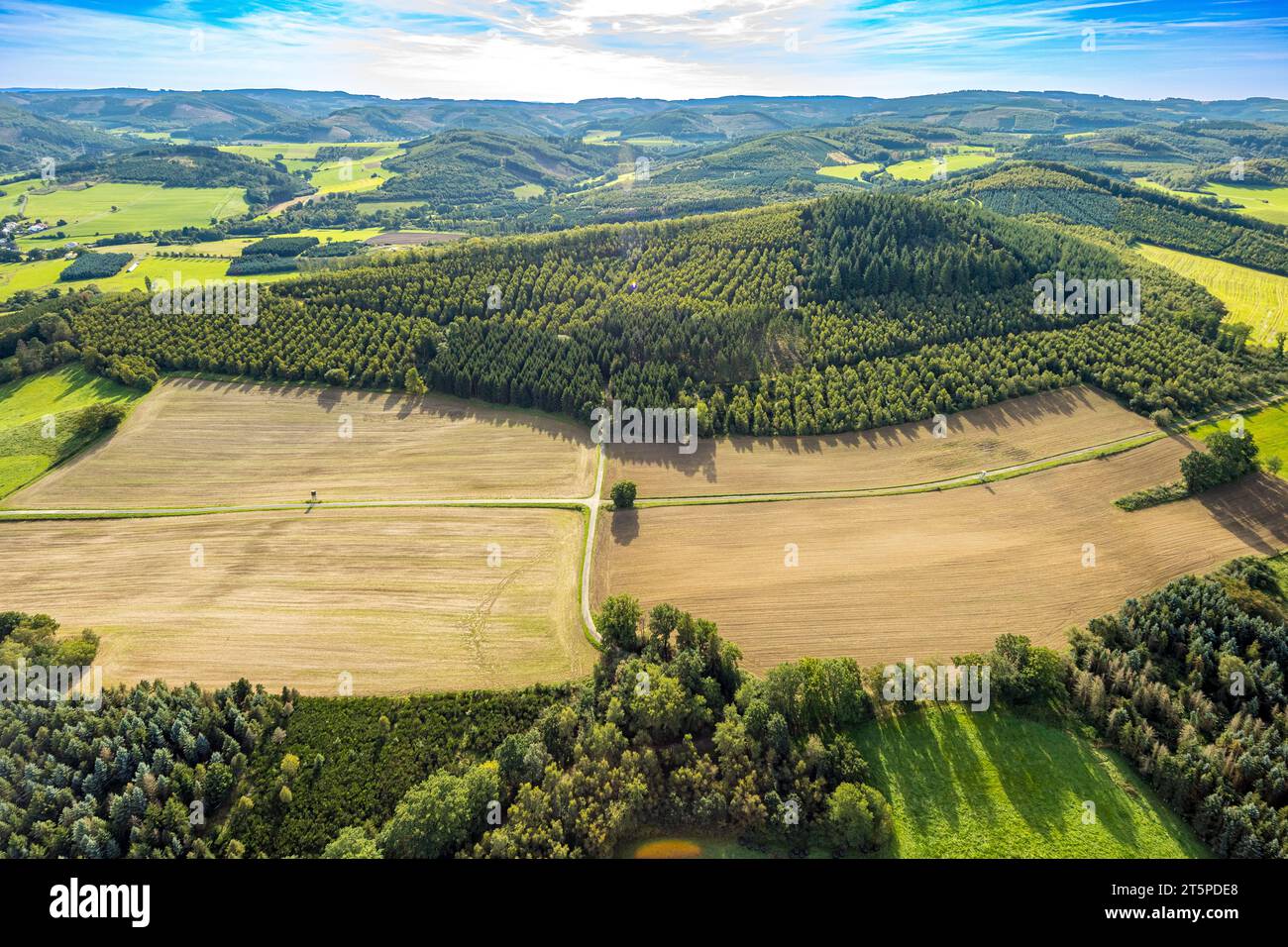 Luftaufnahme, Naturpark Wacholder Gräfenberg, Baum an einer Kreuzung, Formen und Farben, Sundern, Sauerland, Nordrhein-Westfalen, Deutschland, Avenue o Stockfoto