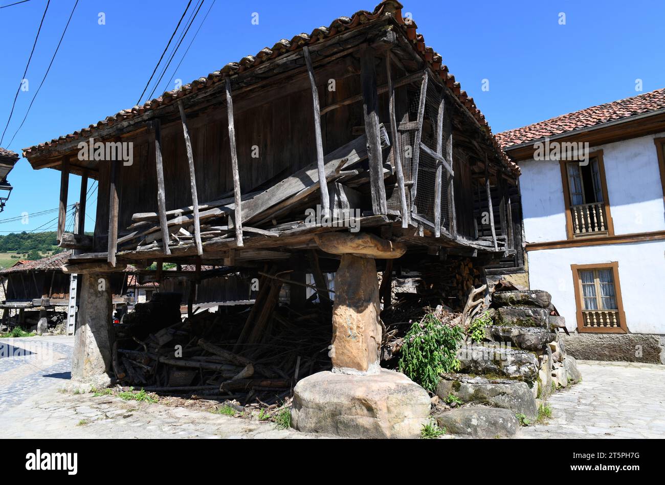 Soto de Agues, traditionelle Getreidefabrik (horreo). Naturpark Redes, Asturien, Spanien. Stockfoto