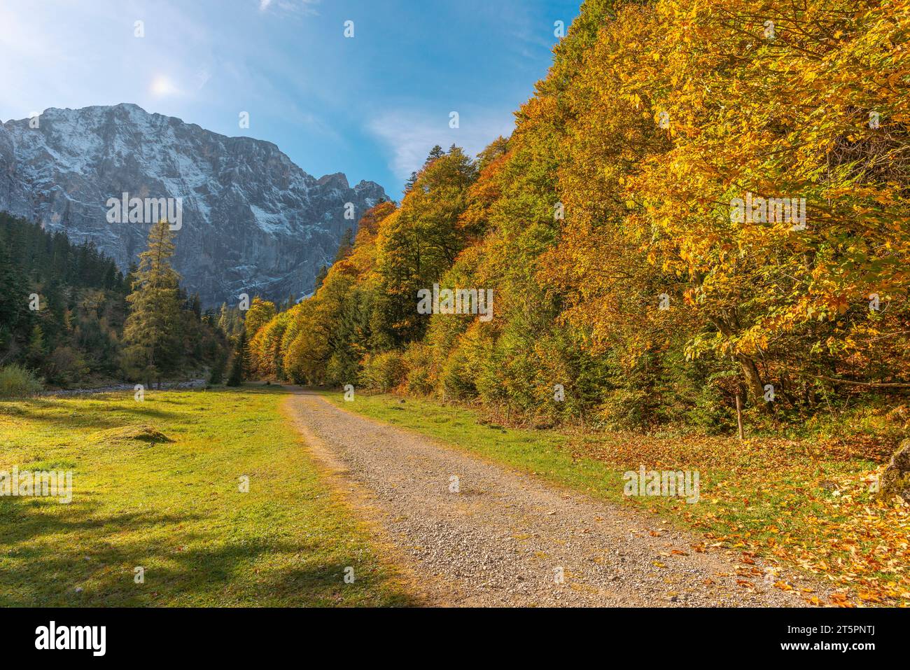 Wanderweg durch die Herbstfolien, Herbstsaison im engen Engtal oder Engtal, Hinterriss, Tirol, Österreich, Europa Stockfoto