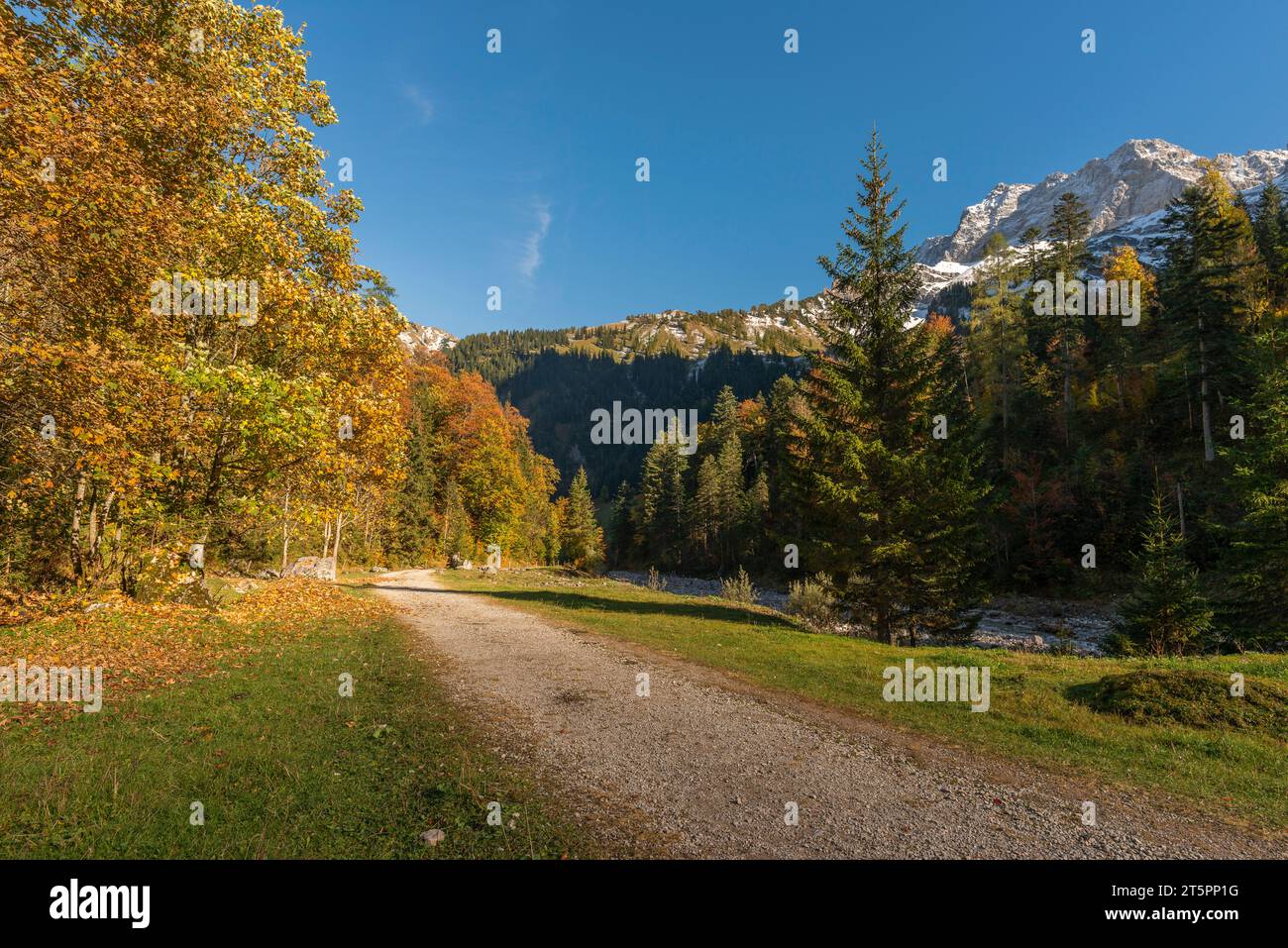 Ausblicke entlang und im Herbstlaub, Herbstsaison im engen Engtal oder Engtal, Hinterriss, Tirol, Österreich, Europa Stockfoto