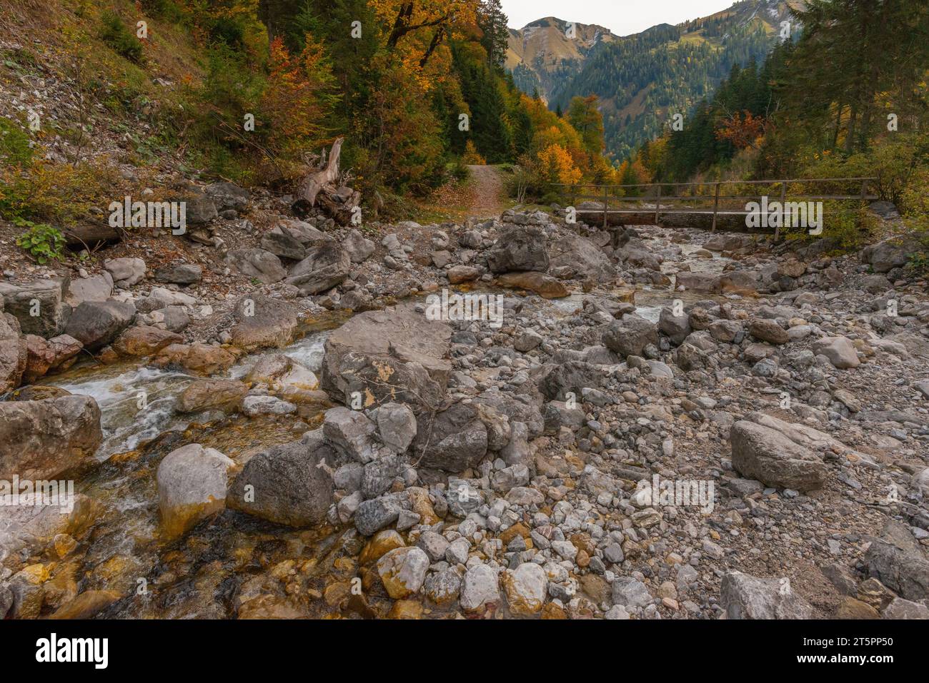 Blick auf den Bergbach enger Grundbach im Herbstlaub, Herbstsaison im engen Engtal oder Engtal, Hinterriss, Tirol, Österreich, Europa Stockfoto