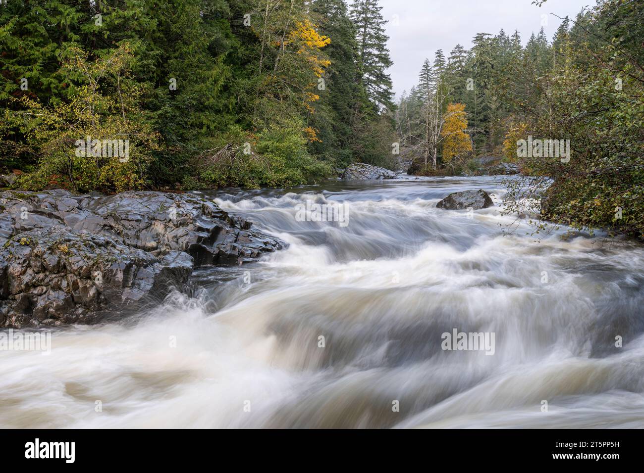 Wasserfall am Sooke River in British Columbia, Kanada. Stockfoto