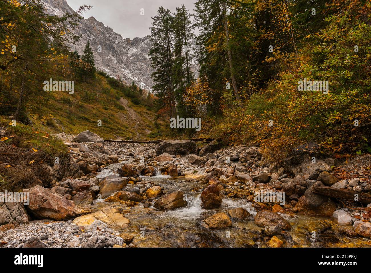 Blick auf den Bergbach enger Grundbach im Herbstlaub, Herbstsaison im engen Engtal oder Engtal, Hinterriss, Tirol, Österreich, Europa Stockfoto