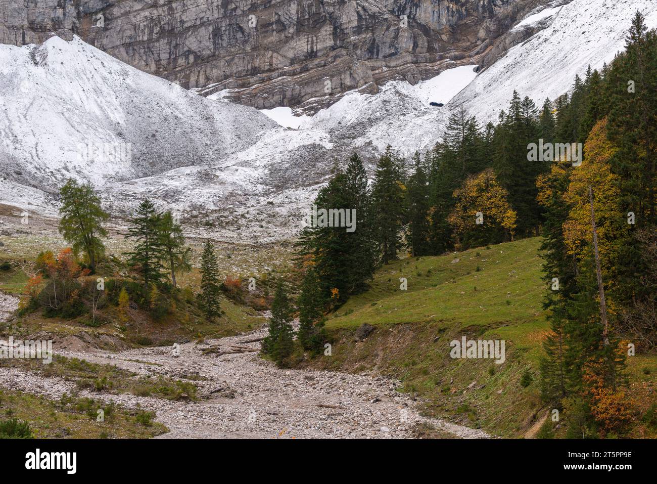 Blick auf das Talende des Karwendelmassivs im Herbstlaub, Herbstsaison im engen Engtal oder Engtal, Hinterriss, Tirol, Österreich, Europa Stockfoto