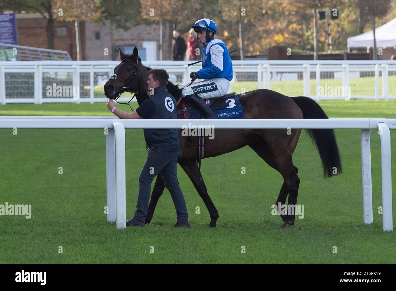 Ascot, Berkshire, Großbritannien. November 2023. Horse Boothill, geritten von Jockey Jonathan Burke, gewinnt die Byrne Group Handicap Steeple Chase auf der Ascot Racecourse am Fireworks Spectacular Family Raceday. Besitzer Brian & Sandy Lambert. Trainer Harry Fry, Corscombe. Züchter Noel James. Sponsor Von Grosvenor Sport. Kredit: Maureen McLean/Alamy Stockfoto