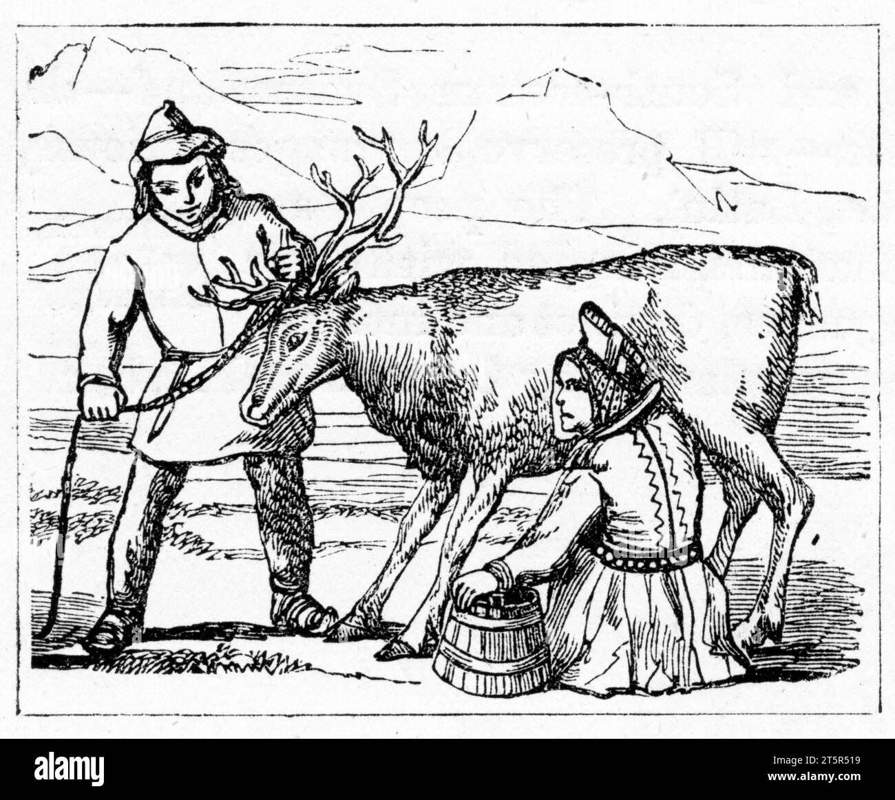 Gravur von Laplandern, die ein Rentier melken, veröffentlicht um 1887 Stockfoto
