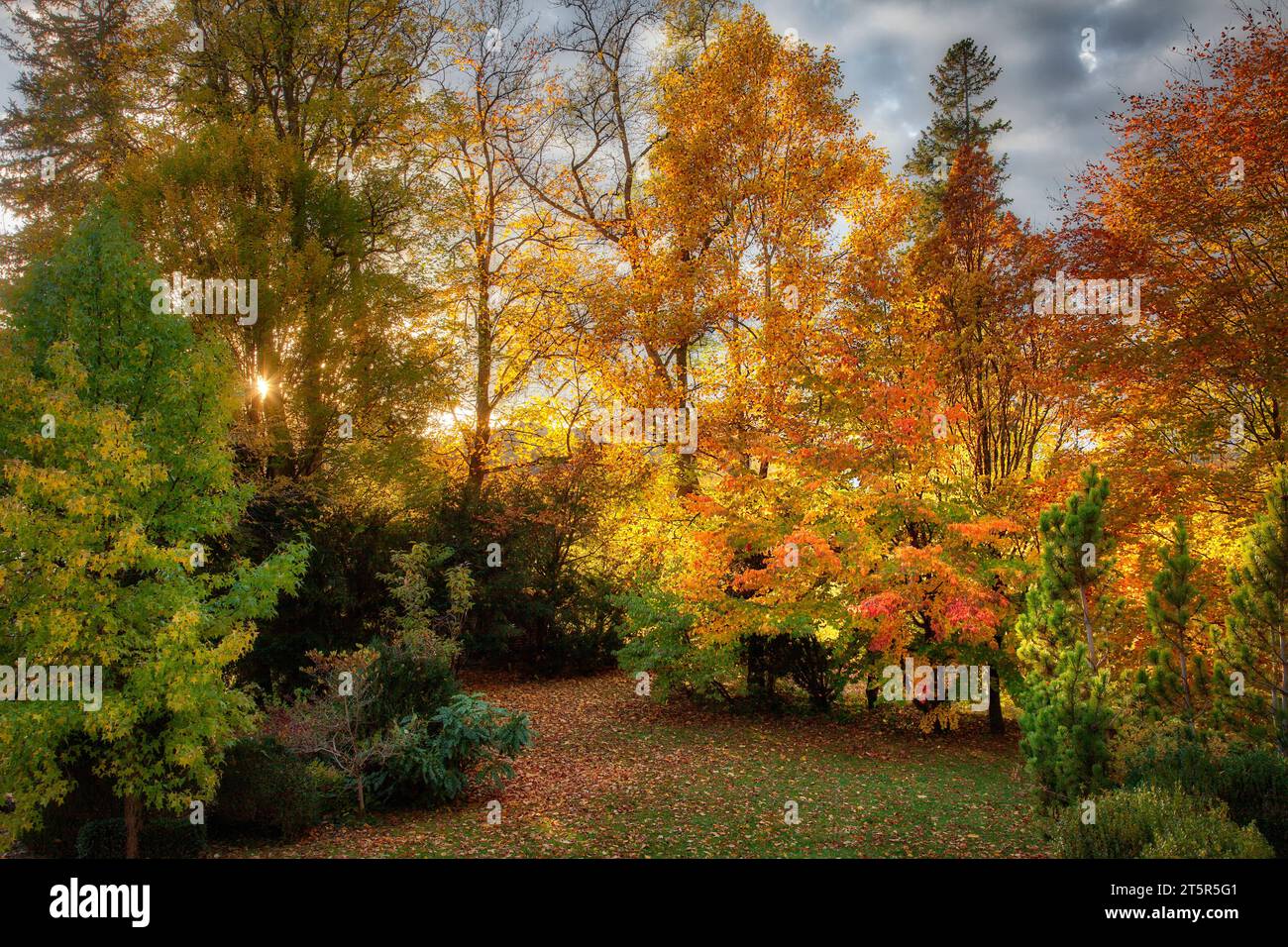 DE - BAYERN: Herbstliche Gartenszene entlang der Isar bei Bad Toelz, Oberbayern Stockfoto