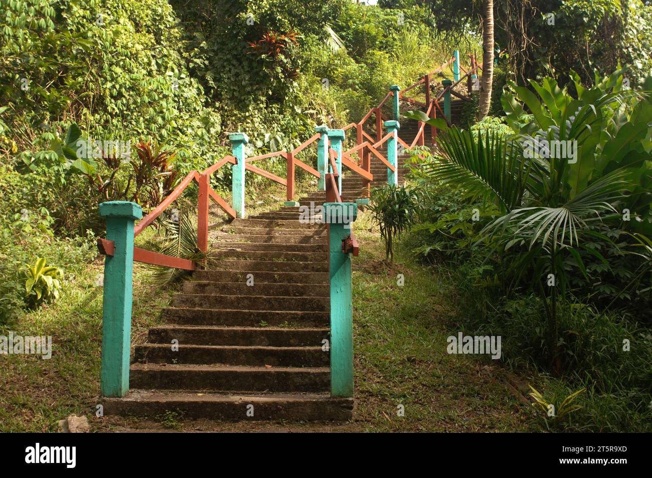 Pfad zu den Wasserfällen, Evergreen Cascades Wasserfall, Mele Maat, Vanuatu. Stockfoto