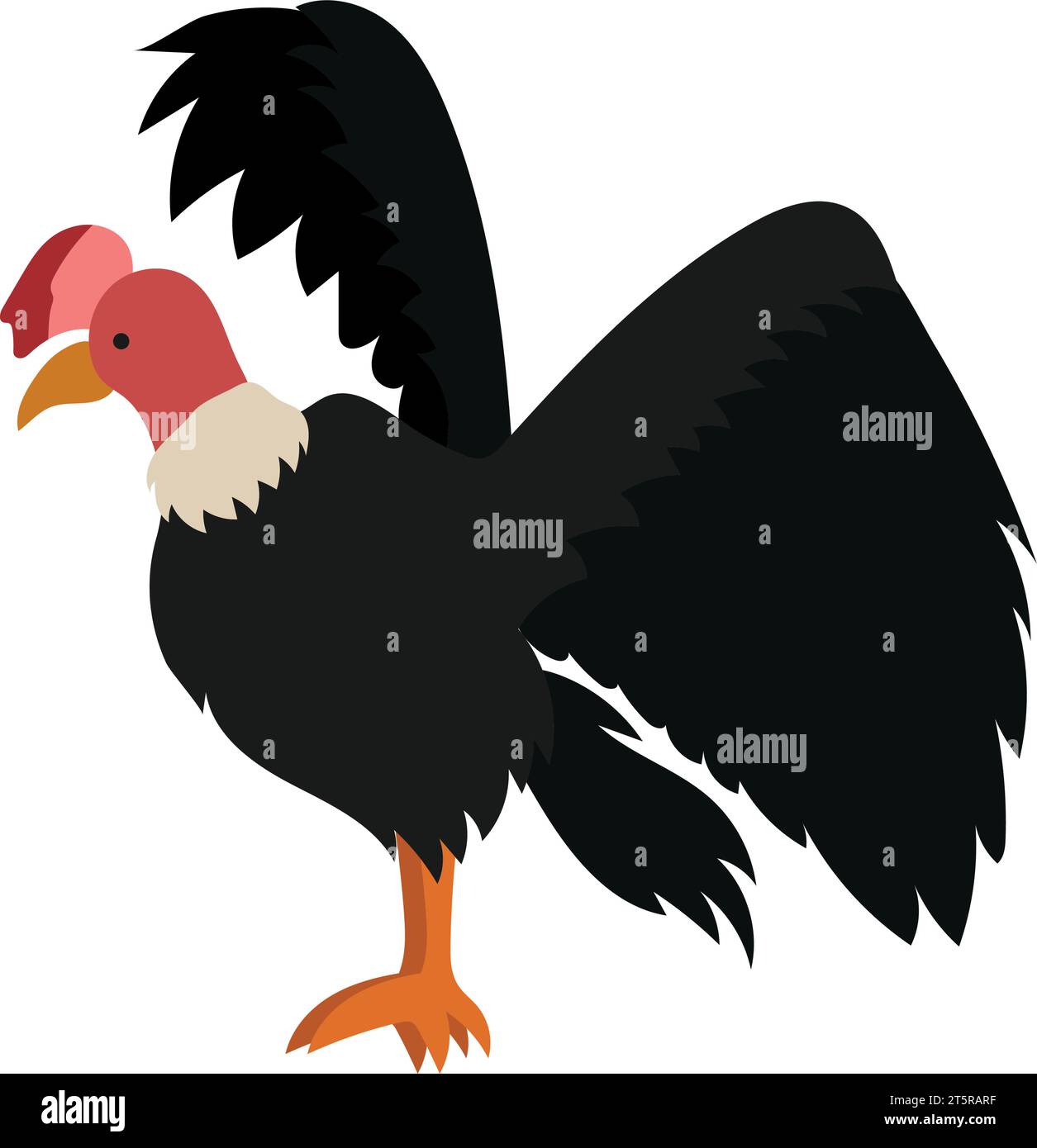 condor Vogel Illustrationsvektor isoliert Stock Vektor