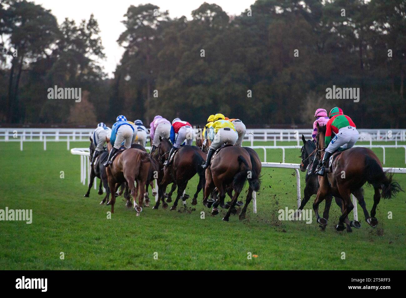 Ascot, Berkshire, Großbritannien. November 2023. Fahrer beim Molton Brown Open National Hunt Flat Race auf der Ascot Racecourse am Fireworks Spectacular Family Raceday. Kredit: Maureen McLean/Alamy Stockfoto