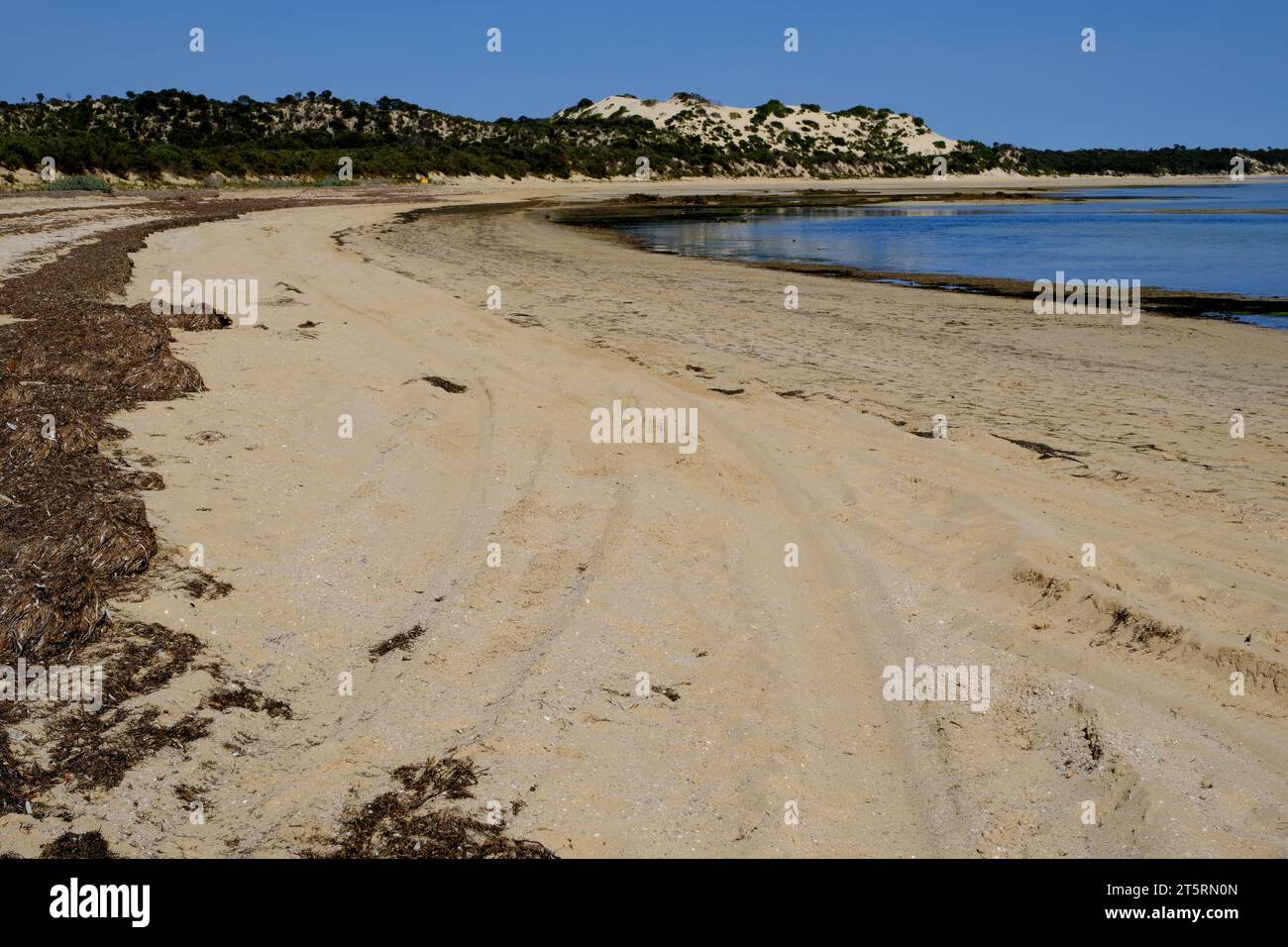Einsamer Sandstrand an der Coffin Bay in der Region Eyre Peninsula in Südaustralien Stockfoto