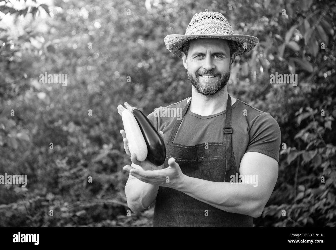 Ein Gemüsehändler, der Auberginen und Gemüsemarsch präsentiert Stockfoto