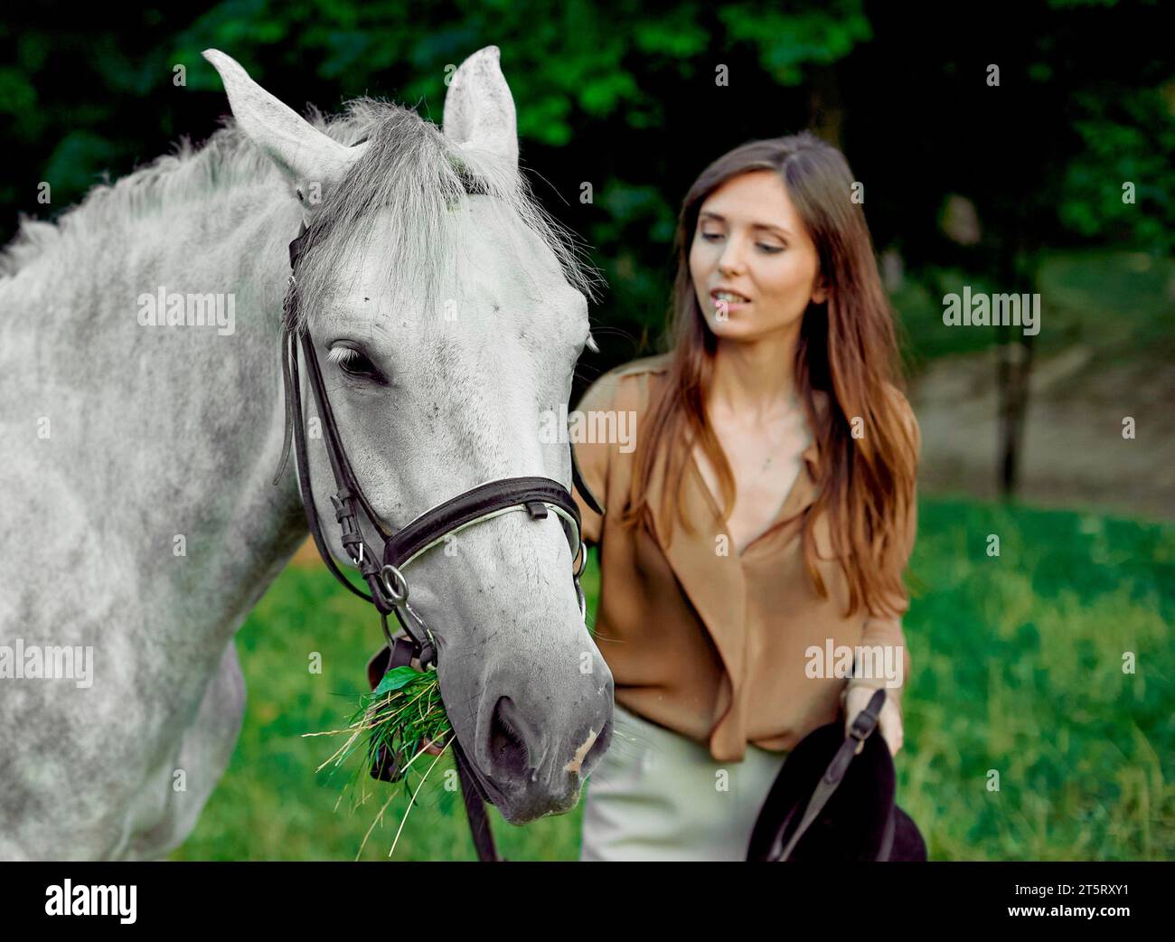 Ein junges Mädchen, das mit einem grauen Pferd auf einem Gras steht. Lernen Sie das Reiten durch Lektionen. Entdecken Sie Pferdetherapie, Hippotherapie. Eine Frau und ihre graue Ho Stockfoto