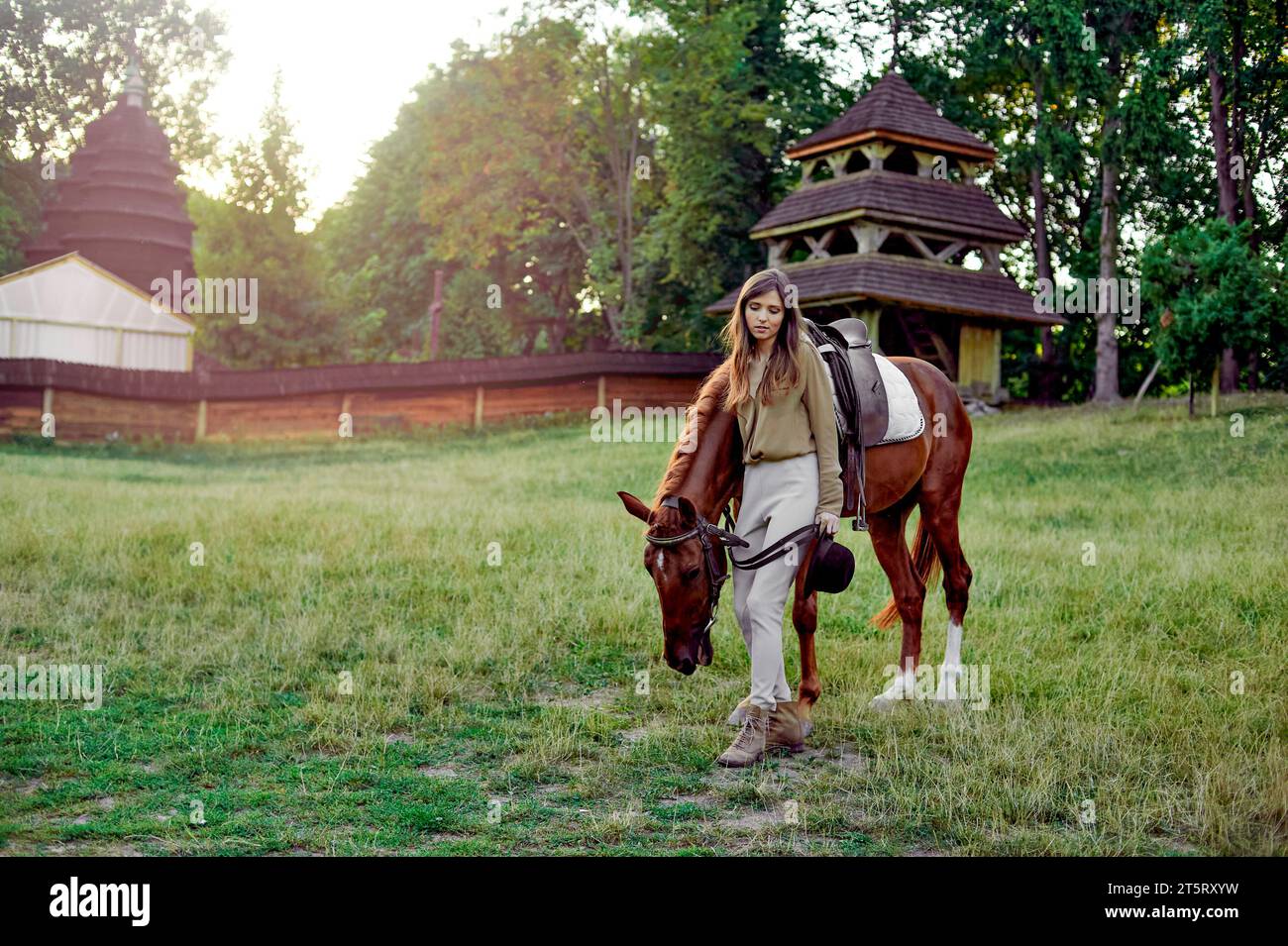 Eine junge Frau mit einem Pferd auf dem Land auf einem grasbewachsenen Feld. Junge Jockeytrainingstiere, eine Reiter- und Sportlerfarm und ein Modell im Freien sind hier Stockfoto