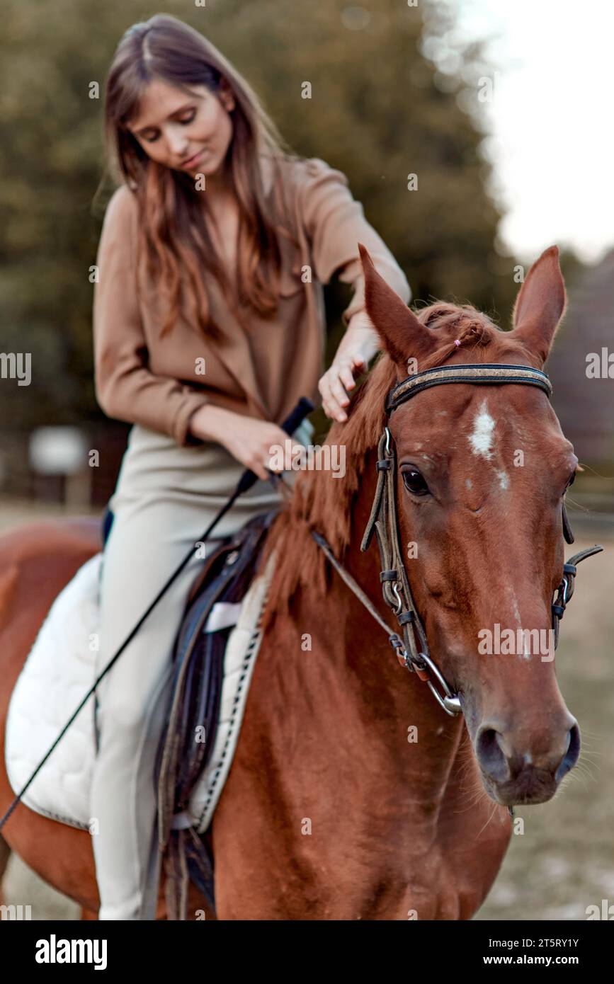 Inmitten ländlicher Landschaften verbindet sich eine Frau mit ihrem Pferd auf einem grasbewachsenen Feld. Ein Porträt eines jungen Jockeys zeigt das Training auf dem Bauernhof und einen Outdoor-Sattel Stockfoto