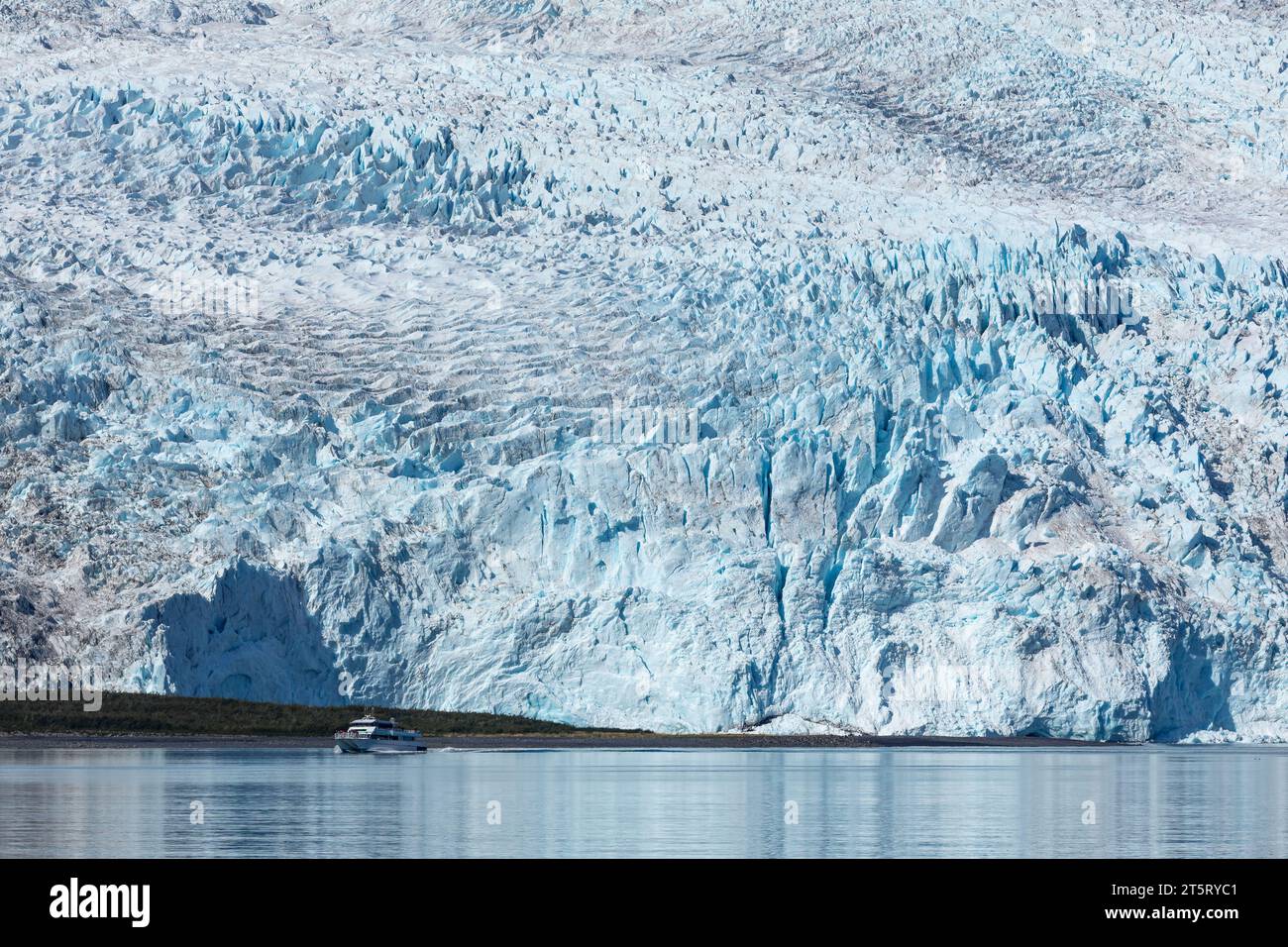 Blaues Eis des Aialik-Gletschers trifft auf das Meereswasser des Golfs von Alaska Stockfoto