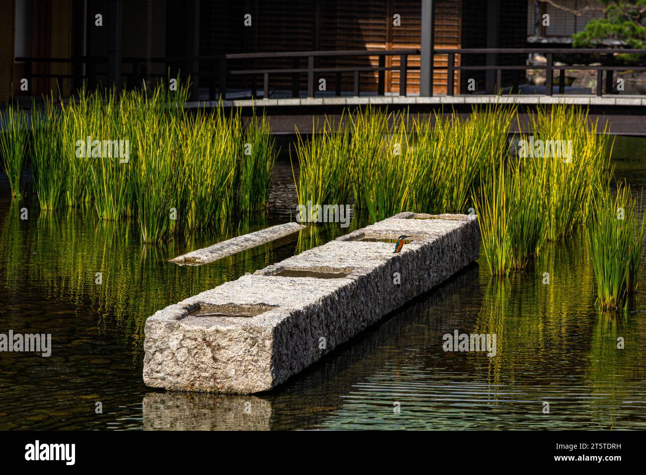 Nakamura toji komuten Fotos und Bildmaterial in hoher Auflösung Alamy