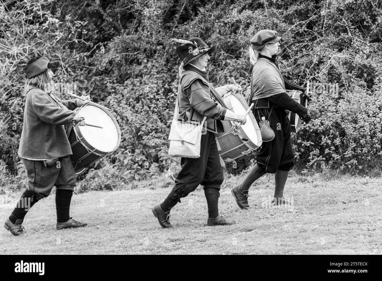 Trommler signalisierten den Soldaten Taten wegen des Lärms der Schlacht. Nachstellung der Belagerung of Basing House, englischer Bürgerkrieg, 16.09.23 Basingstoke Stockfoto