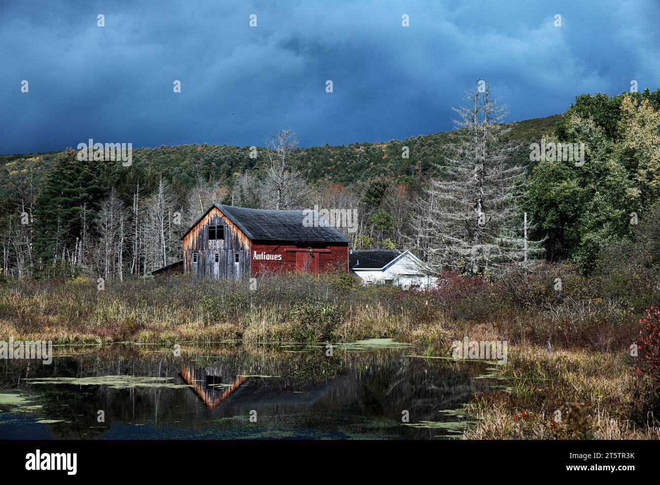 Antiquitätenladen in rustikaler Scheune. Stockfoto