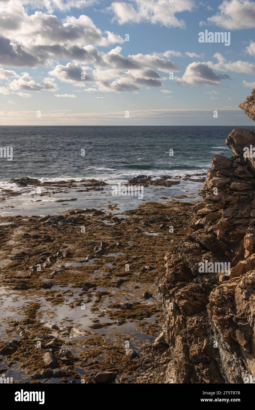 Felsklippen am Lobster Cove Point an der Westküste Neufundlands Stockfoto