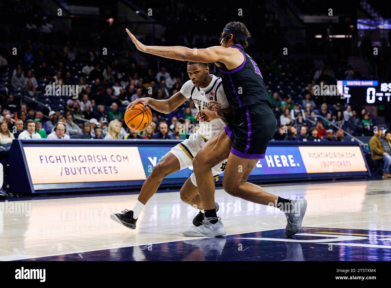 South Bend, Indiana, USA. November 2023. Notre Dame Forward Tae Davis (13) fährt zum Korb, als Niagara Forward Harlan Obioha (55) während der NCAA Basketballspiele zwischen den Niagara Purple Eagles und den Notre Dame Fighting Irish im Purcell Pavilion im Joyce Center in South Bend, Indiana, verteidigt. Notre Dame besiegte Niagara mit 70:63. John Mersits/CSM/Alamy Live News Stockfoto