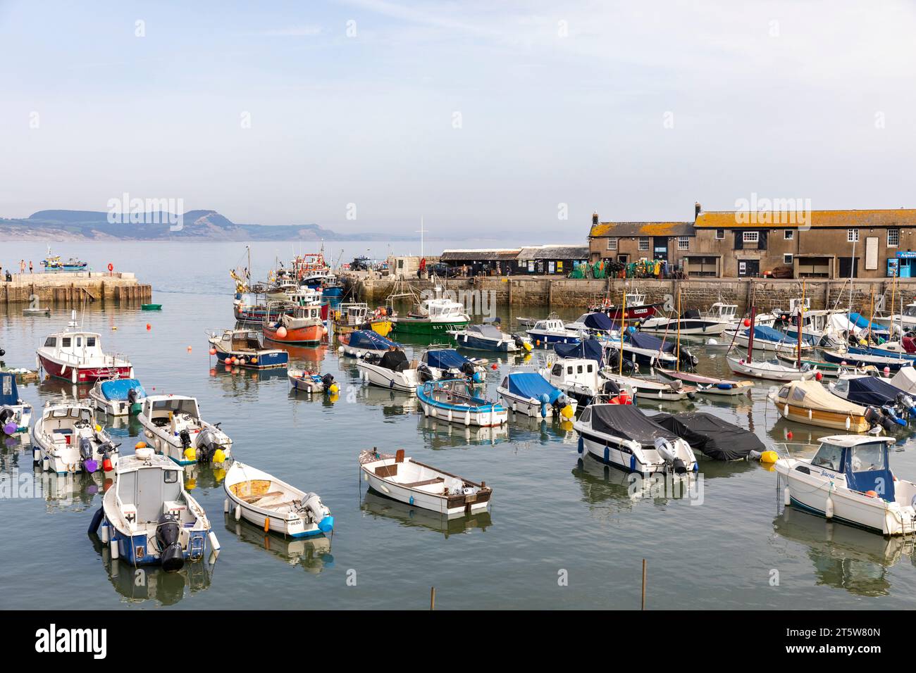 Lyme Regis Hafen an der Küste von Dorset, Boote, die im Hafen in dieser englischen Küstenstadt, Großbritannien, ankern, 2023 Stockfoto