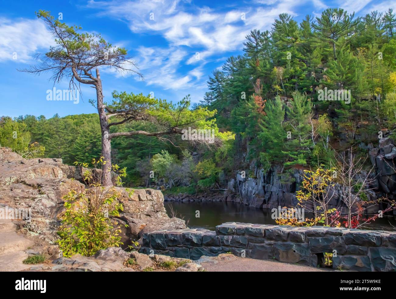 Wunderschöne Landschaft einer weißen Kiefer entlang der St. Der Croix River im Interstate State Park entstand während der Eiszeit in Taylors Falls, Minnesota, USA. Stockfoto