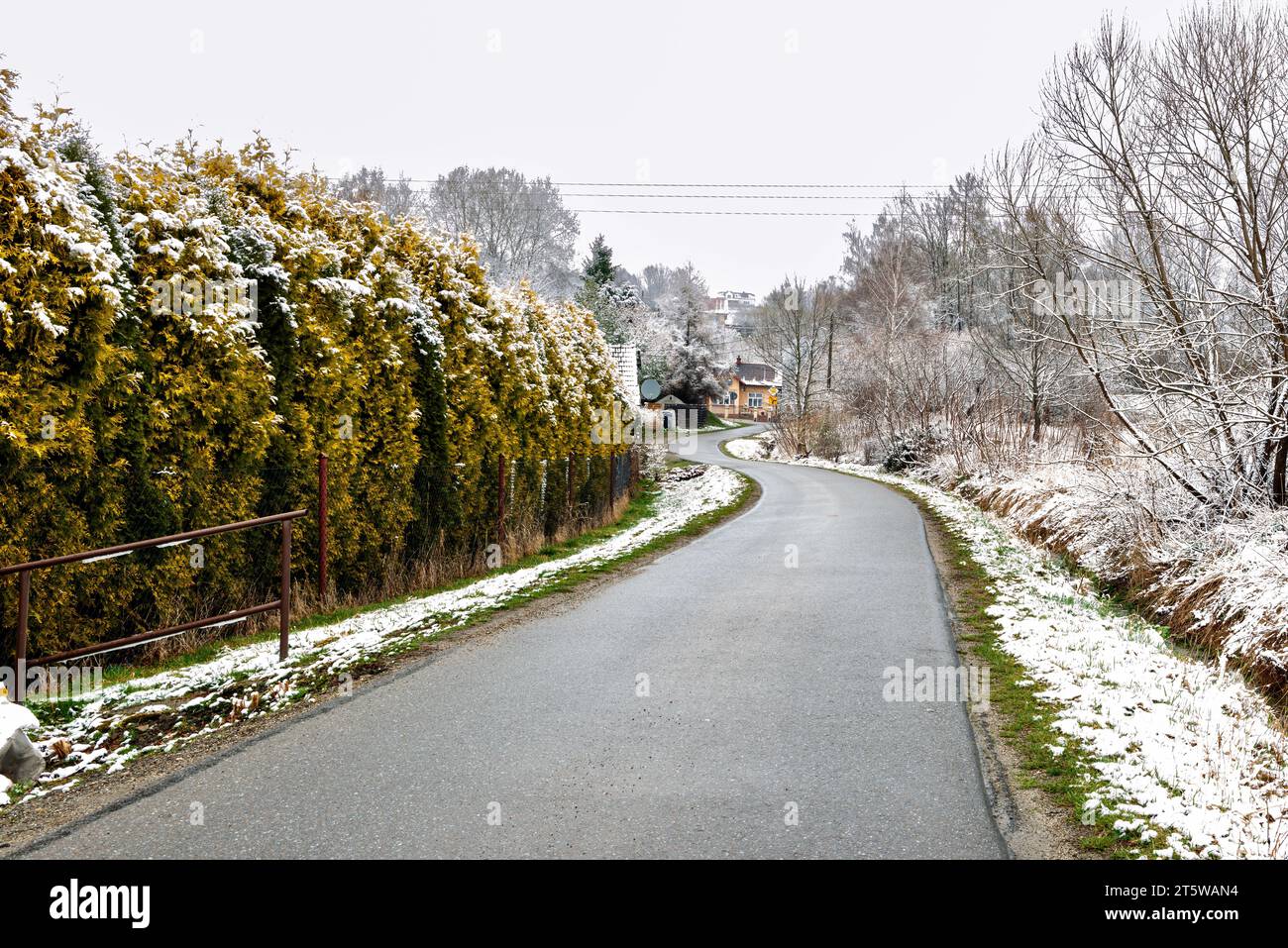Verschneite Winterstraße auf dem Land mit Bäumen und schneebedecktem Boden, Polen Stockfoto