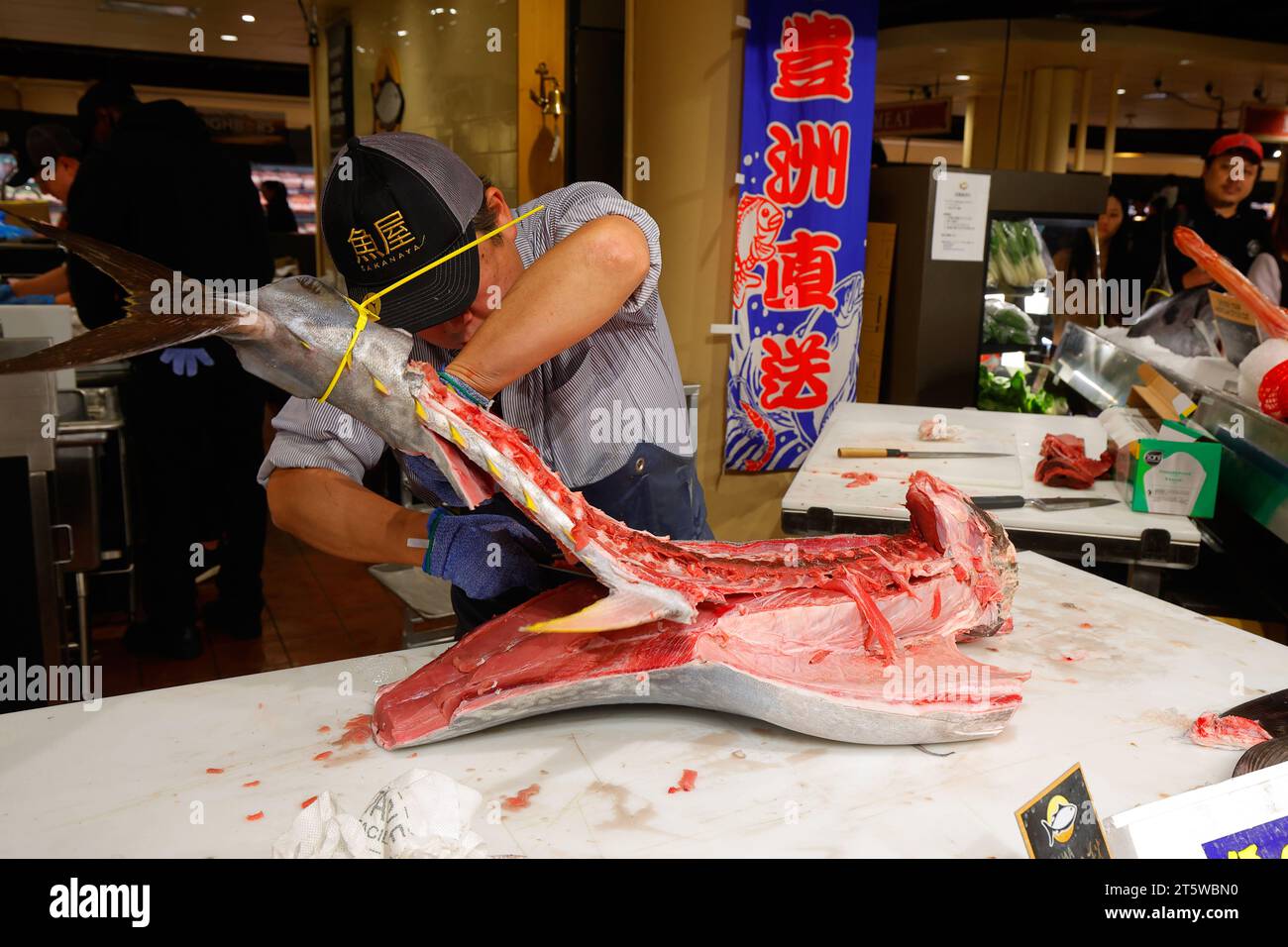 November 2023, New York. Ein japanischer Fischhändler entführt auf dem Sakanaya Fischmarkt im Wegmans Astor Place einen kleinen, wild gefangenen MSC Atlantischen Roten Thun (Thunnus thynnus). An der Fischtheke werden frischer Fisch und Meeresfrüchte aus der Region sowie japanischer Fisch aus dem Toyosu Fish Market in Tokio angeboten. Stockfoto