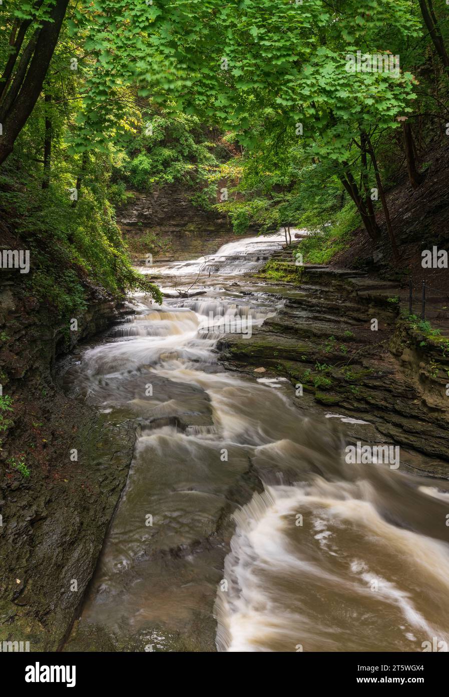 Der Cascadilla Gorge Trail in Ithaka, NY Stockfoto