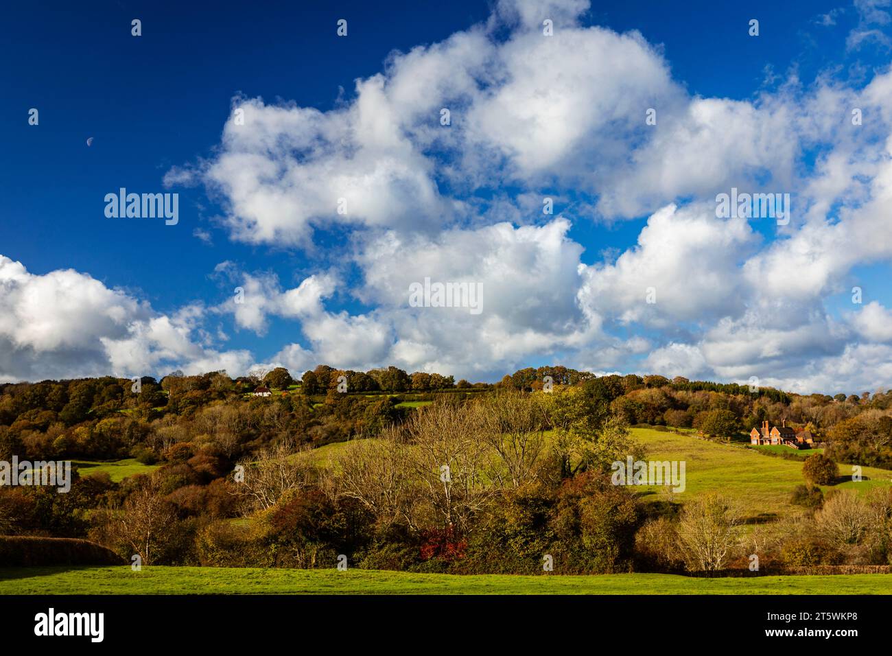 Wunderschöne Herbstlandschaft und Wälder am hohen weald nahe Burwash im Osten Sussex im Südosten Englands Großbritannien Stockfoto