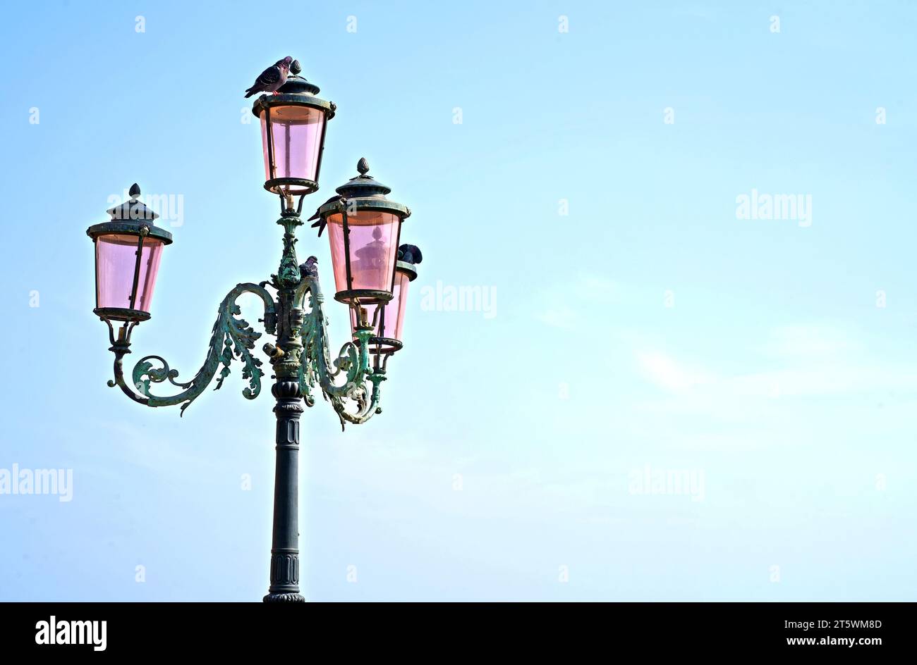 Laterne auf der Straße von Venedig. Die berühmten rosa Lichter von Venedig. Vier Lampen mit rosafarbenem Glas befinden sich auf einem kunstvollen schwarzen Metallpfosten. Stockfoto