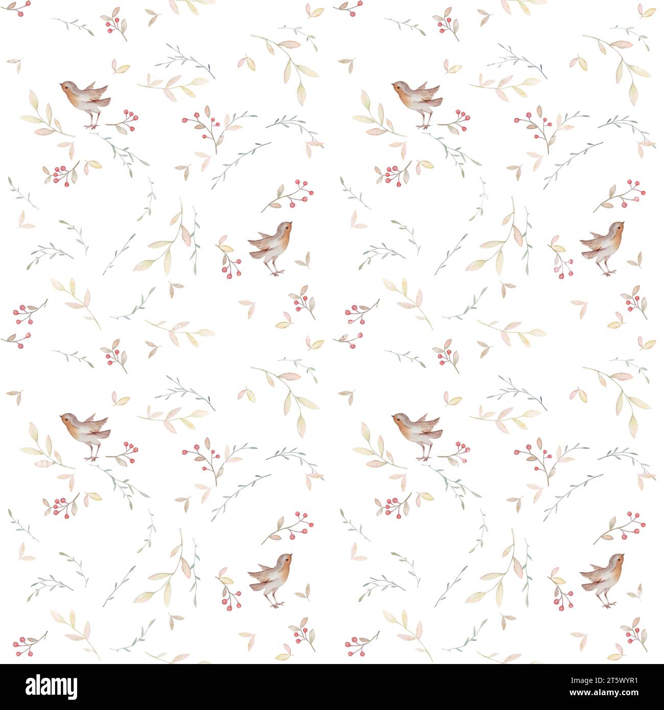 Robin Vogel Aquarell Muster, Weihnachtsvogel Muster Tapete, Wild Floral Nahtlose Muster, Boho Baby Aquarell, Weißer Hintergrund Stockfoto