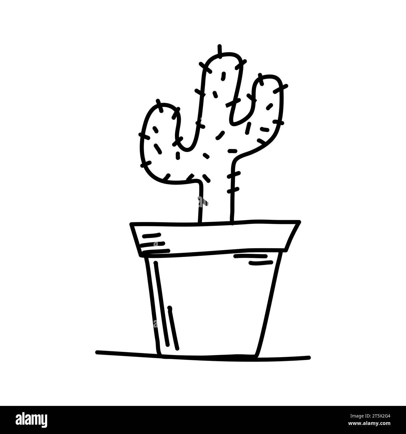 monstera ph wert Monstera Erde