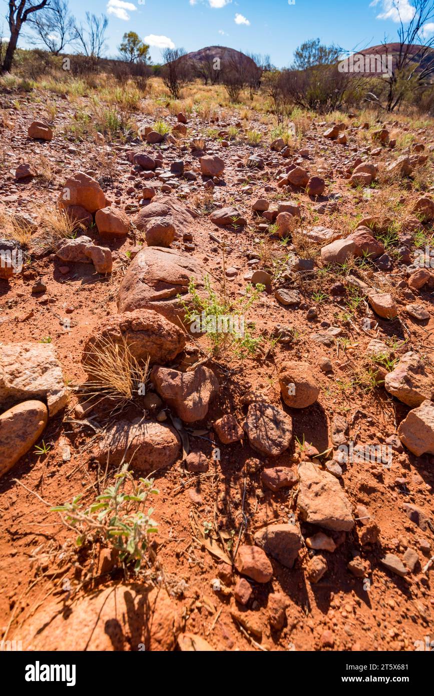 Eine Nahaufnahme des lockerartigen Geröllabhangs von Kata Tjuta im Uluru-Kata Tjuta National Park, Northern Territory, Australien Stockfoto