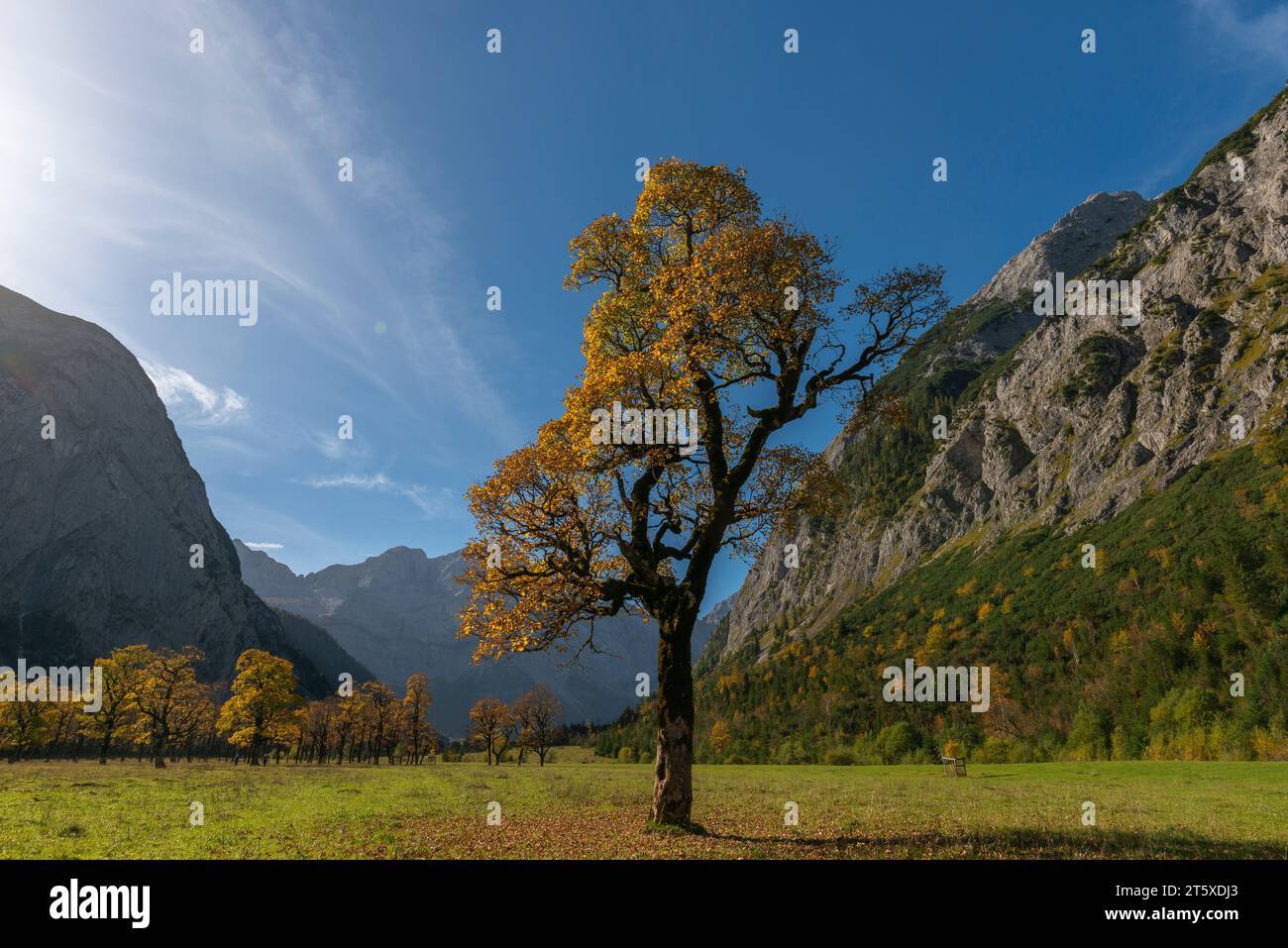 Ein touristisches Highlight, farbenfrohe Herbstsaison im Engtal oder Engtal, Naturpark Karwendel, Tirol, Österreich, Europa Stockfoto