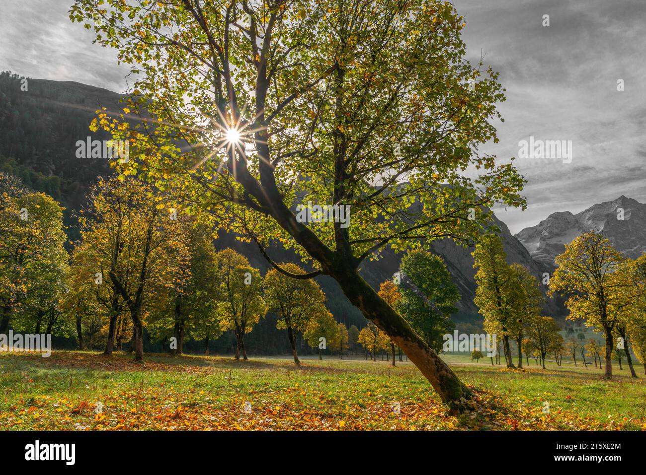 Ein touristisches Highlight, farbenfrohe Herbstsaison im Engtal oder Engtal, Naturpark Karwendel, Tirol, Österreich, Europa Stockfoto