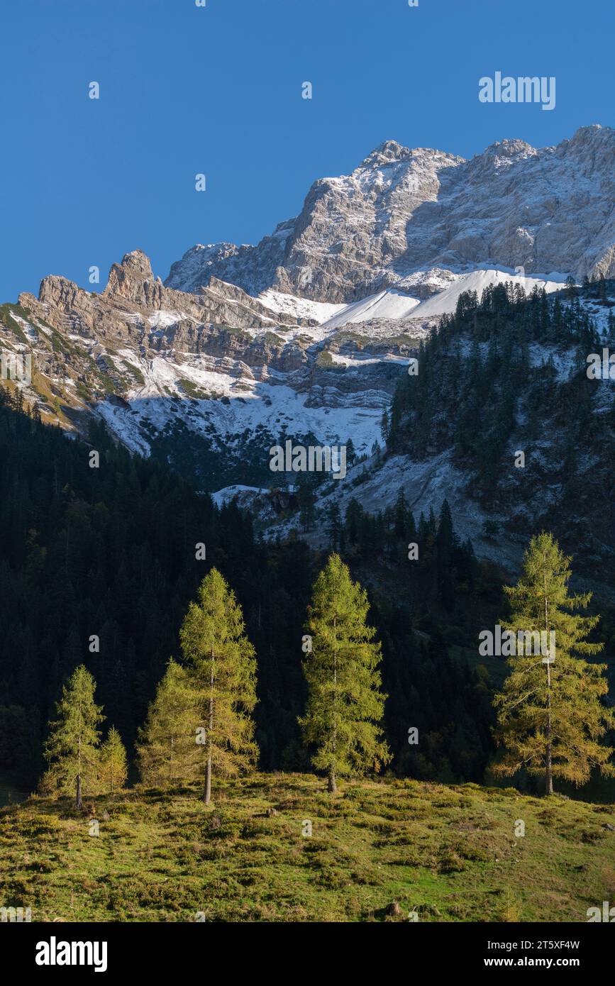 Ein touristisches Highlight, farbenfrohe Herbstsaison im Engtal oder Engtal, Naturpark Karwendel, Tirol, Österreich, Europa Stockfoto