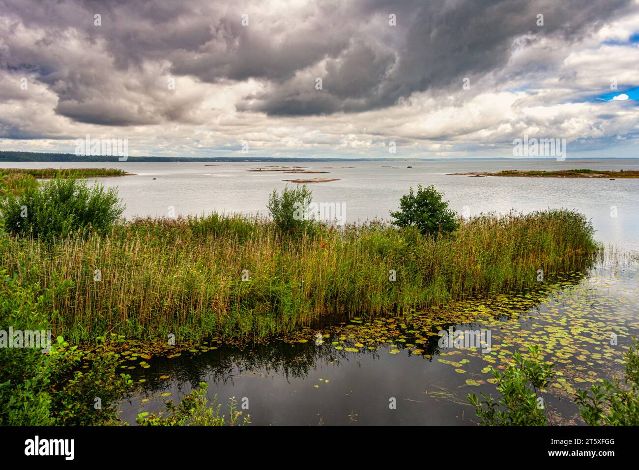 Schwedens größter See mit Inselchen, Sümpfen, Klippen und Stränden, der auch Angeln, Schwimmen und Wandern bietet. Vänersborg, Vänersee Stockfoto